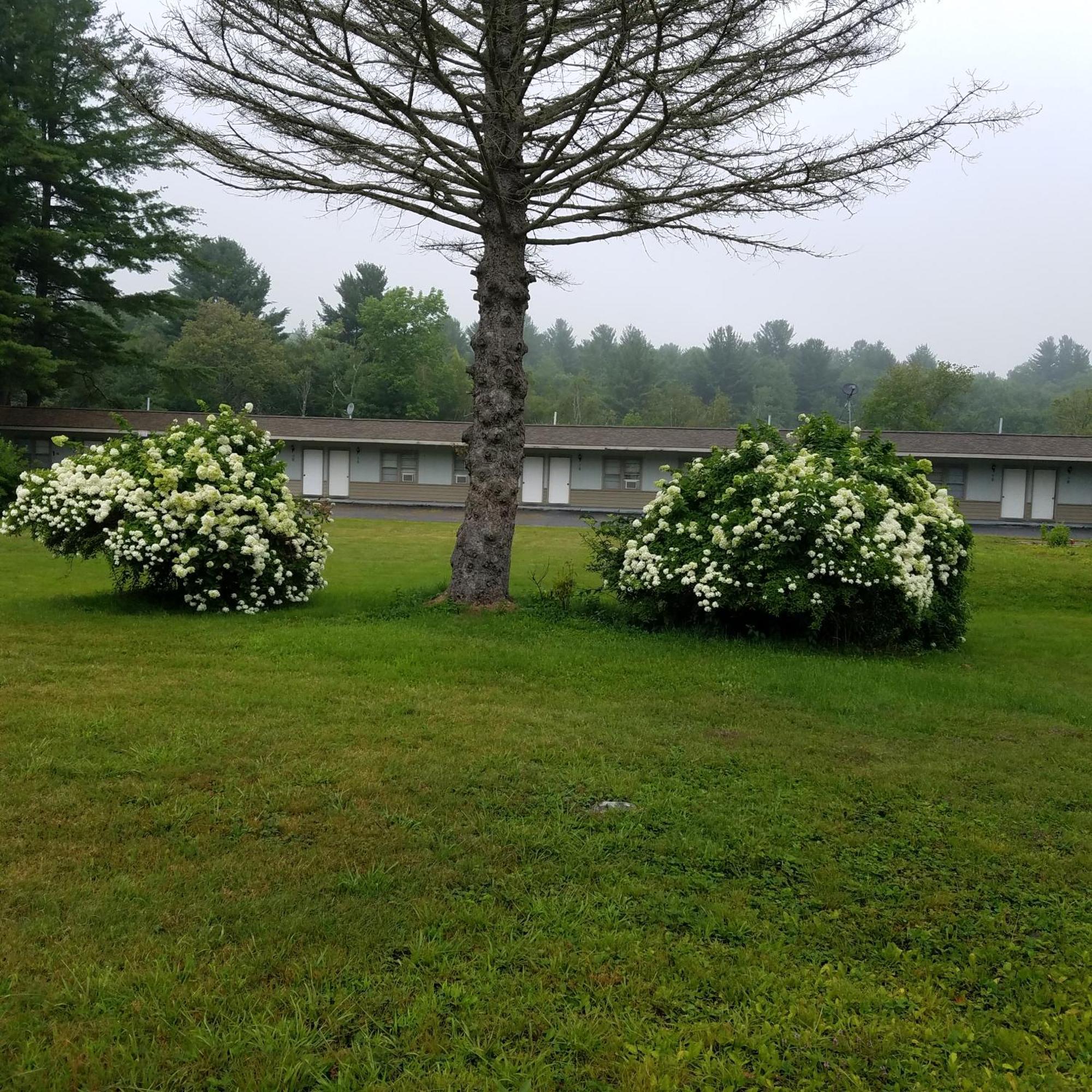 The Becket Motel Екстериор снимка